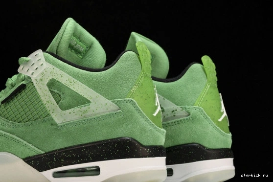 AJ4-904284 4 PE  Air Oregon Duck  Jordan Green AJ4-904284 1114